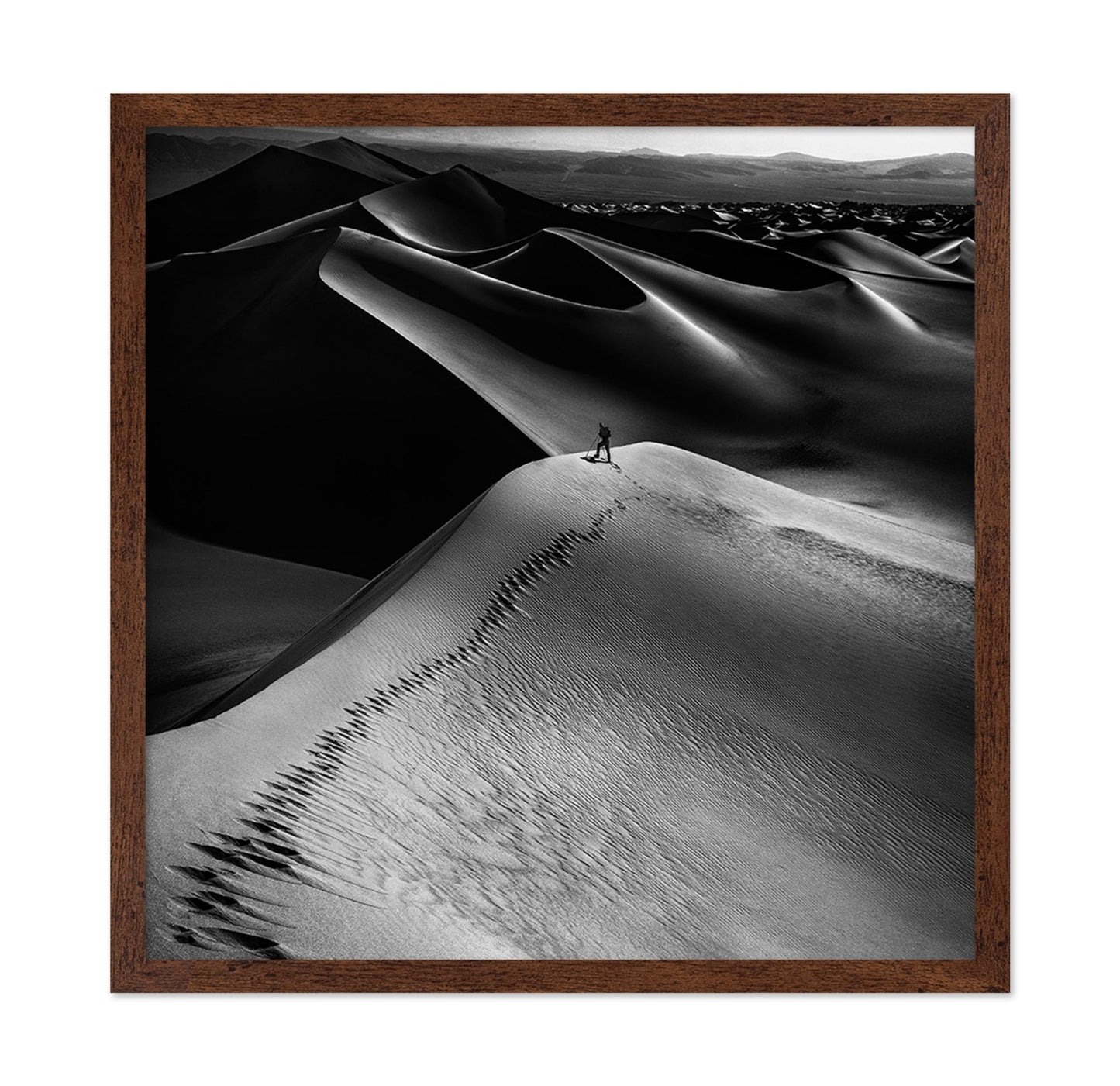 Desert Dune Explorer