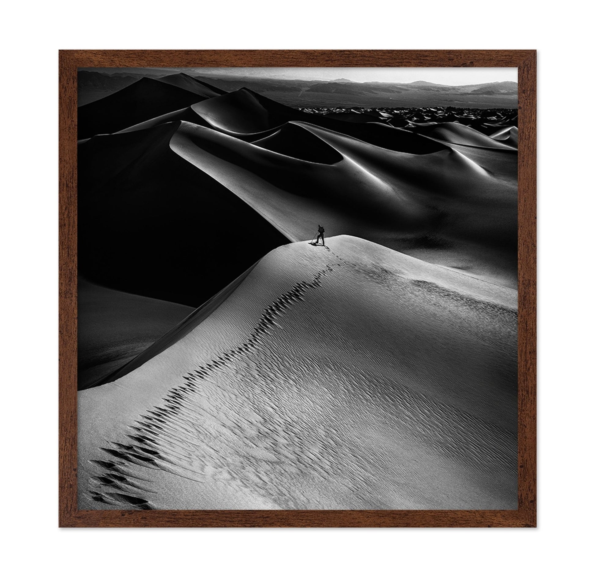 Desert Dune Explorer