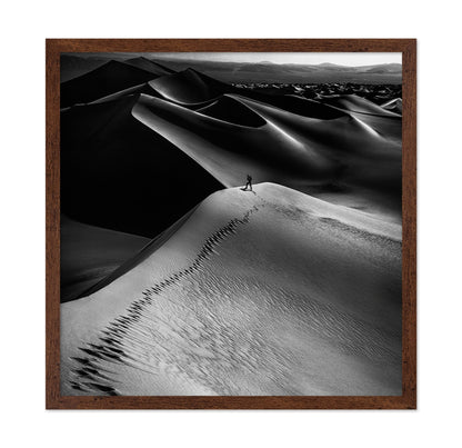 Desert Dune Explorer