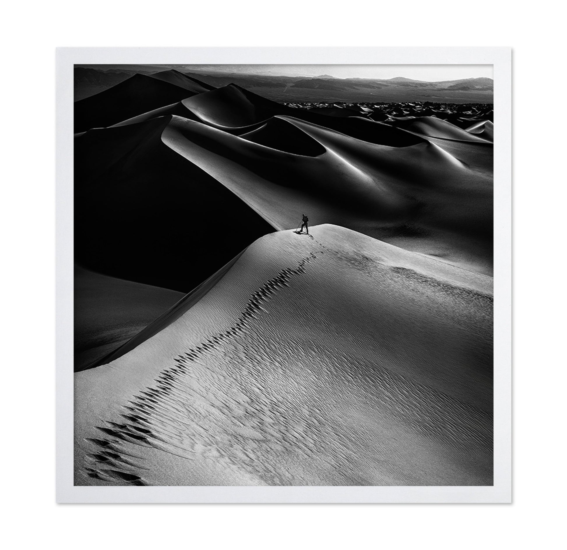 Desert Dune Explorer