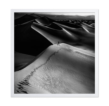 Desert Dune Explorer