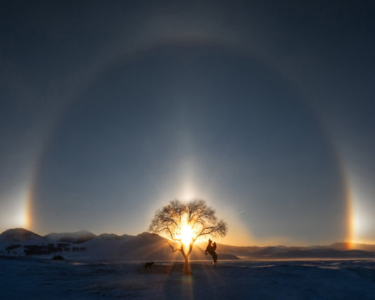 Sun Halo Rider Tree