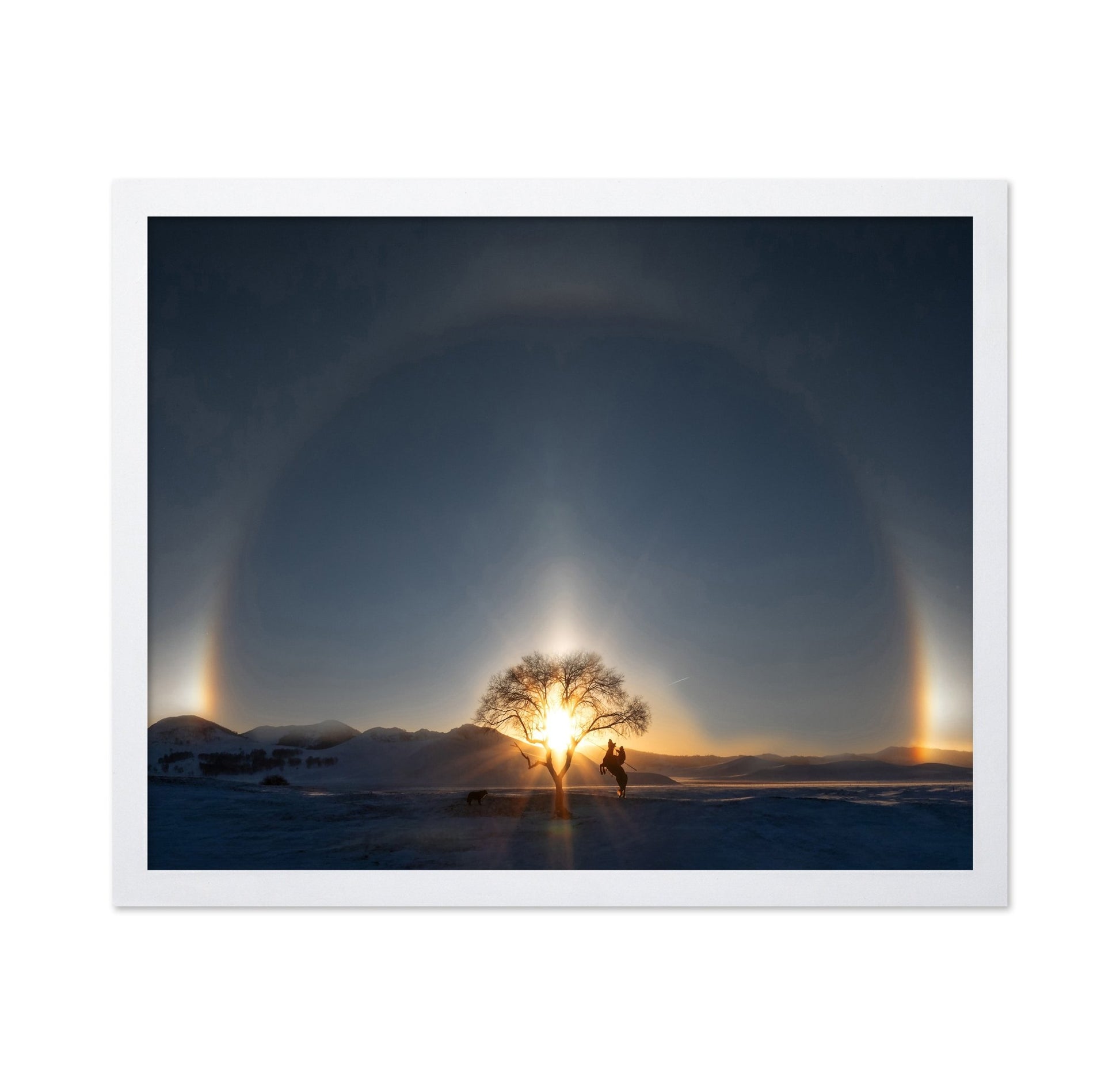 Sun Halo Rider Tree