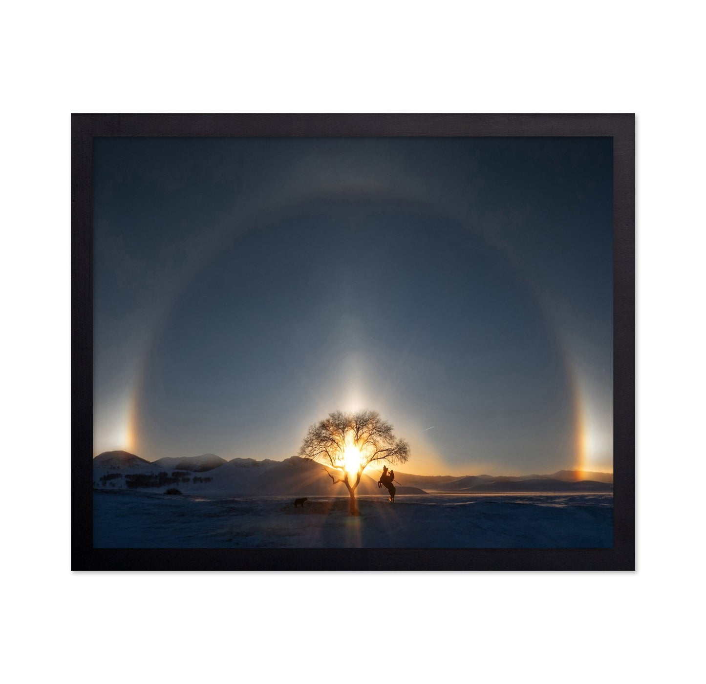 Sun Halo Rider Tree