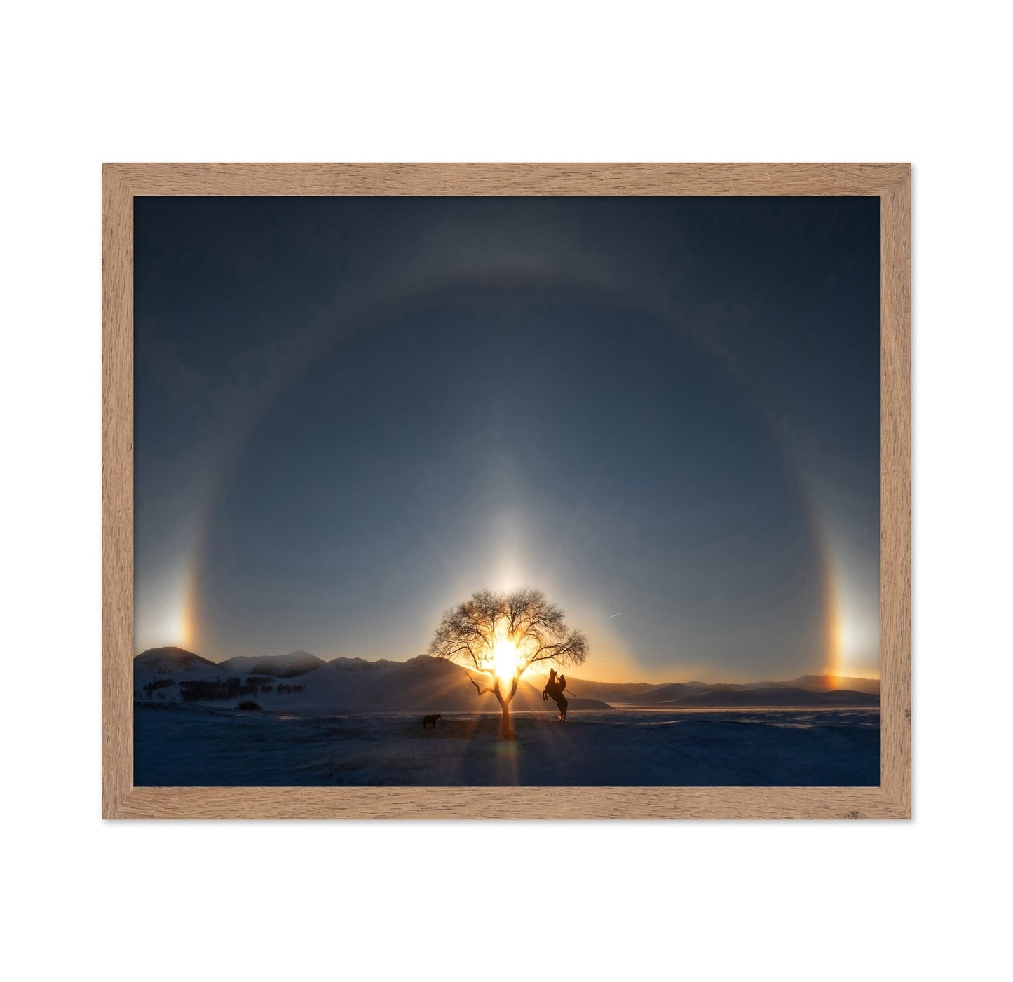 Sun Halo Rider Tree