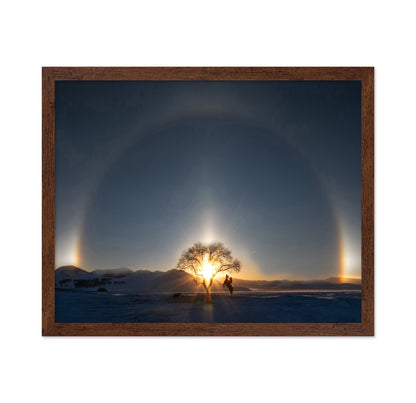 Sun Halo Rider Tree