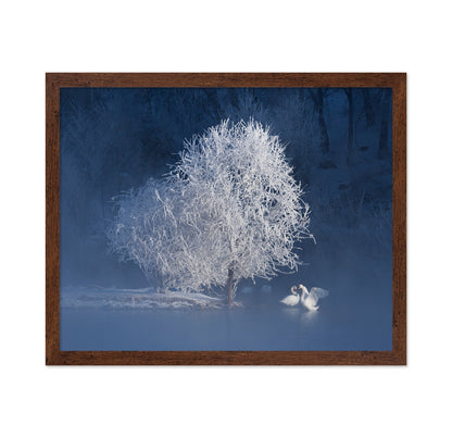 Winter Swan Pair