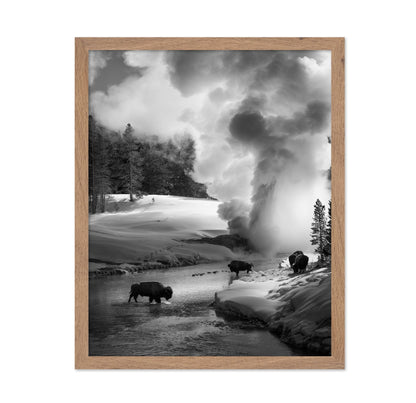 Bison Winter Geyser
