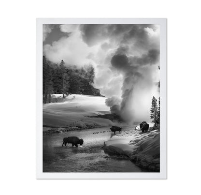 Bison Winter Geyser