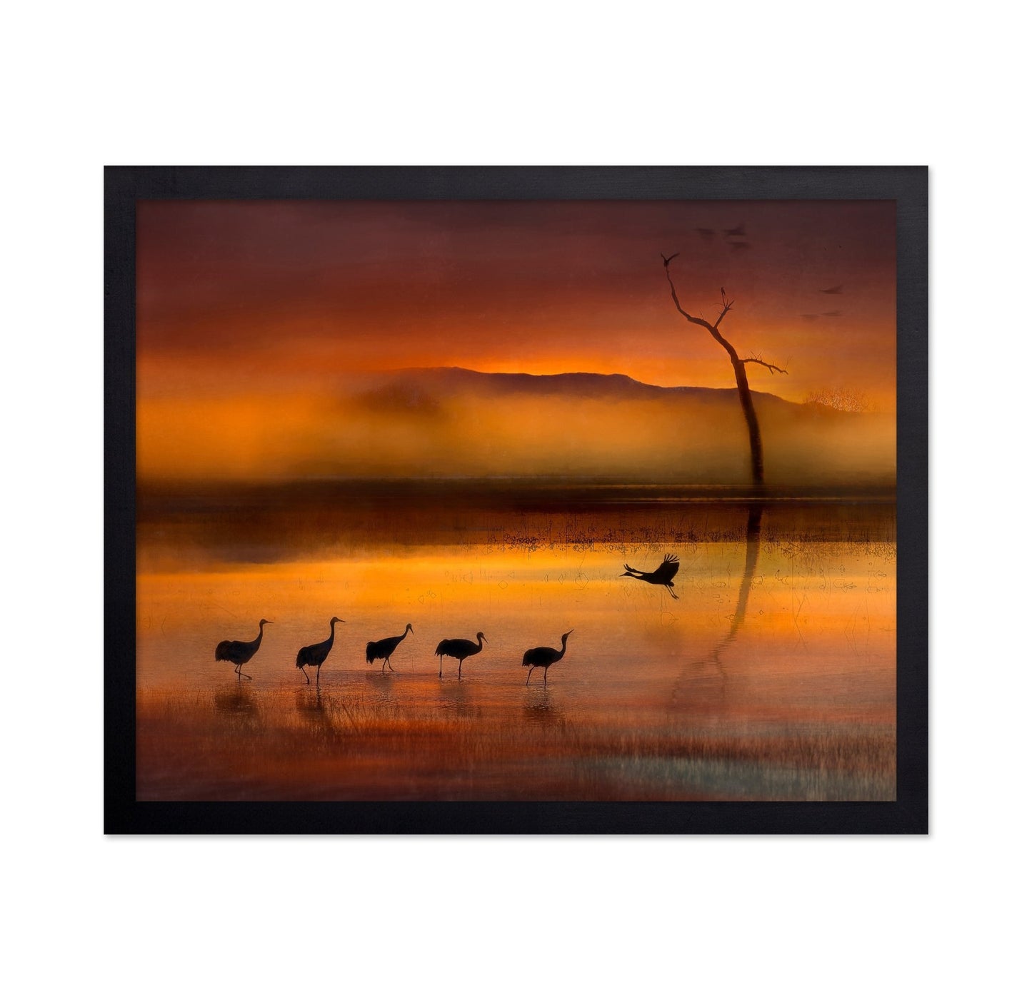 Crane Sunset Reflections