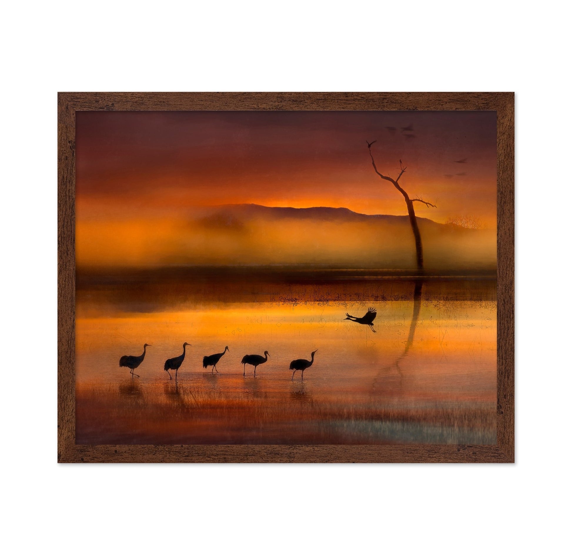 Crane Sunset Reflections