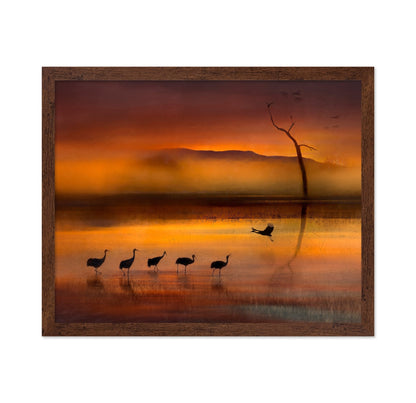 Crane Sunset Reflections