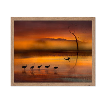 Crane Sunset Reflections