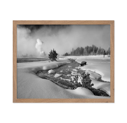 Winter Bison Stream