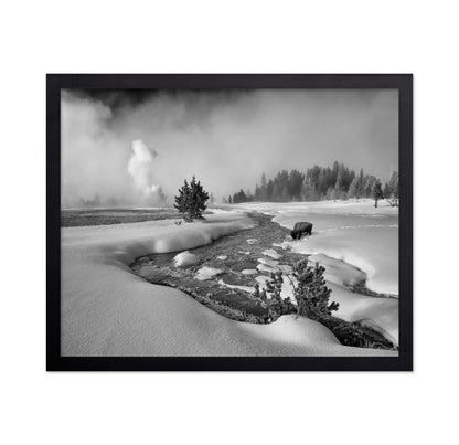 Winter Bison Stream