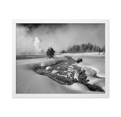 Winter Bison Stream