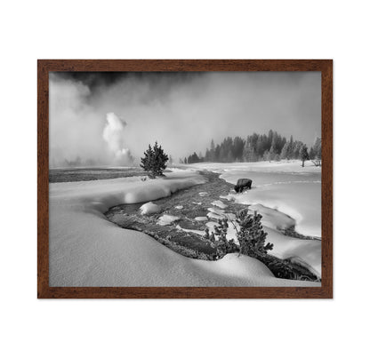 Winter Bison Stream