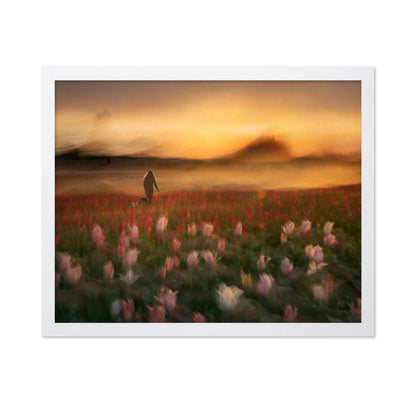 Sunset Tulip Walk