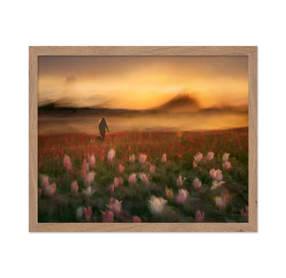 Sunset Tulip Walk