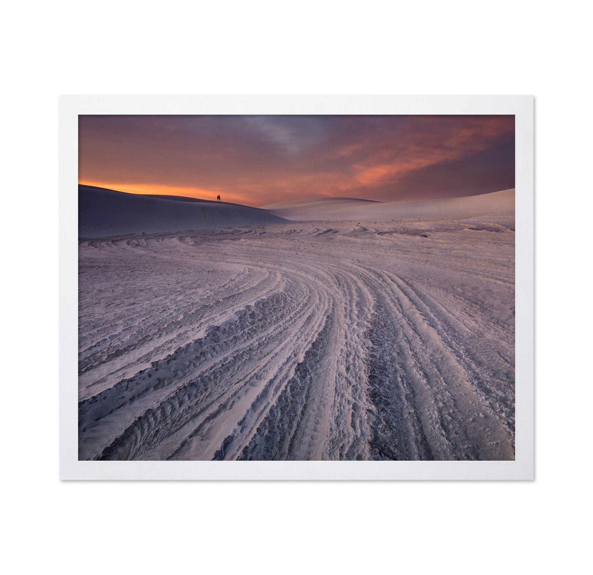 Desert Tracks Sunset