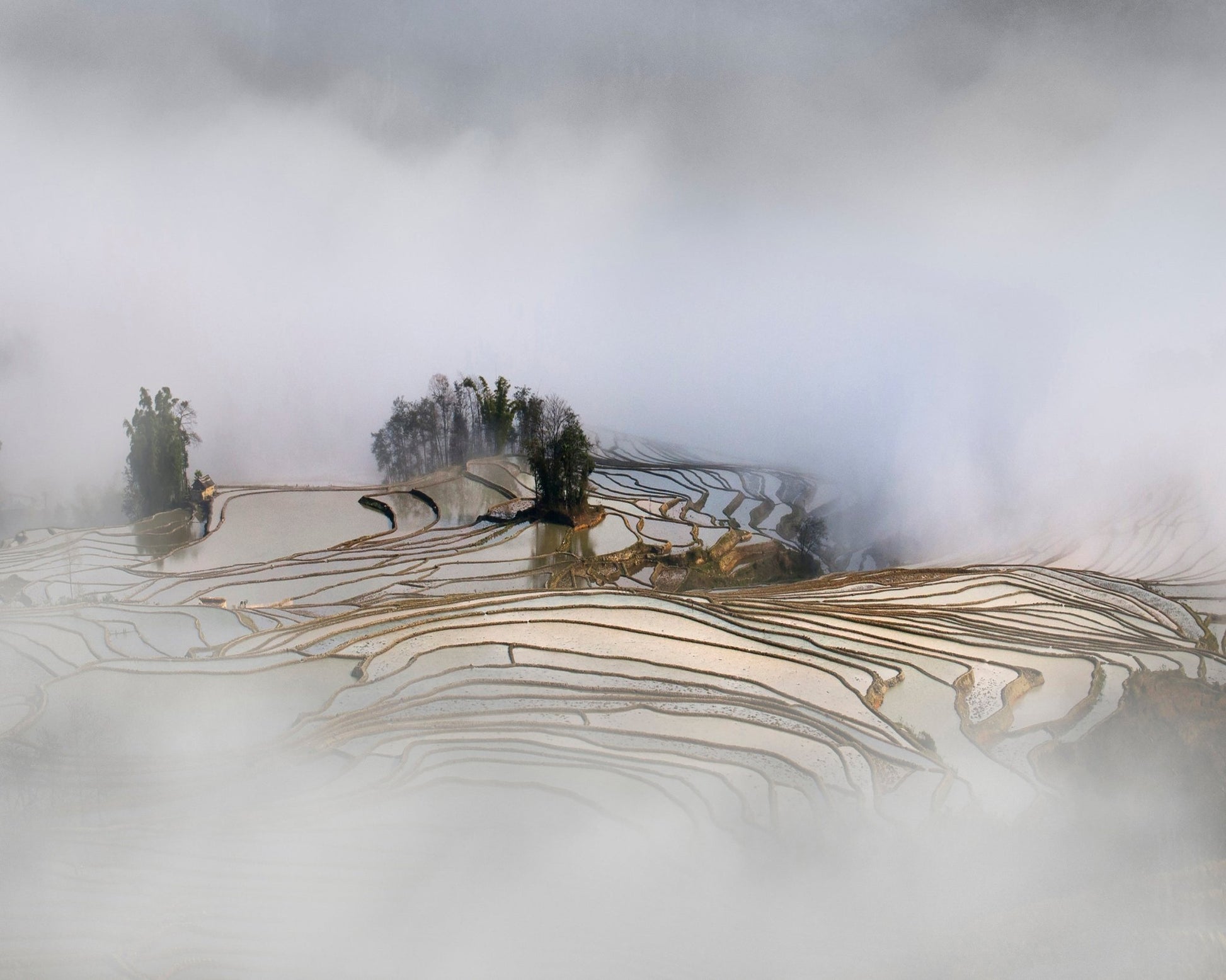 Misty Rice Terraces