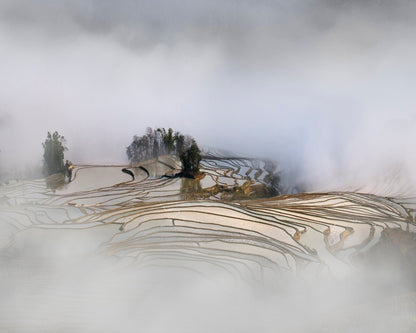 Misty Rice Terraces