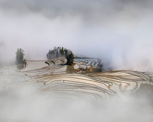 Misty Rice Terraces