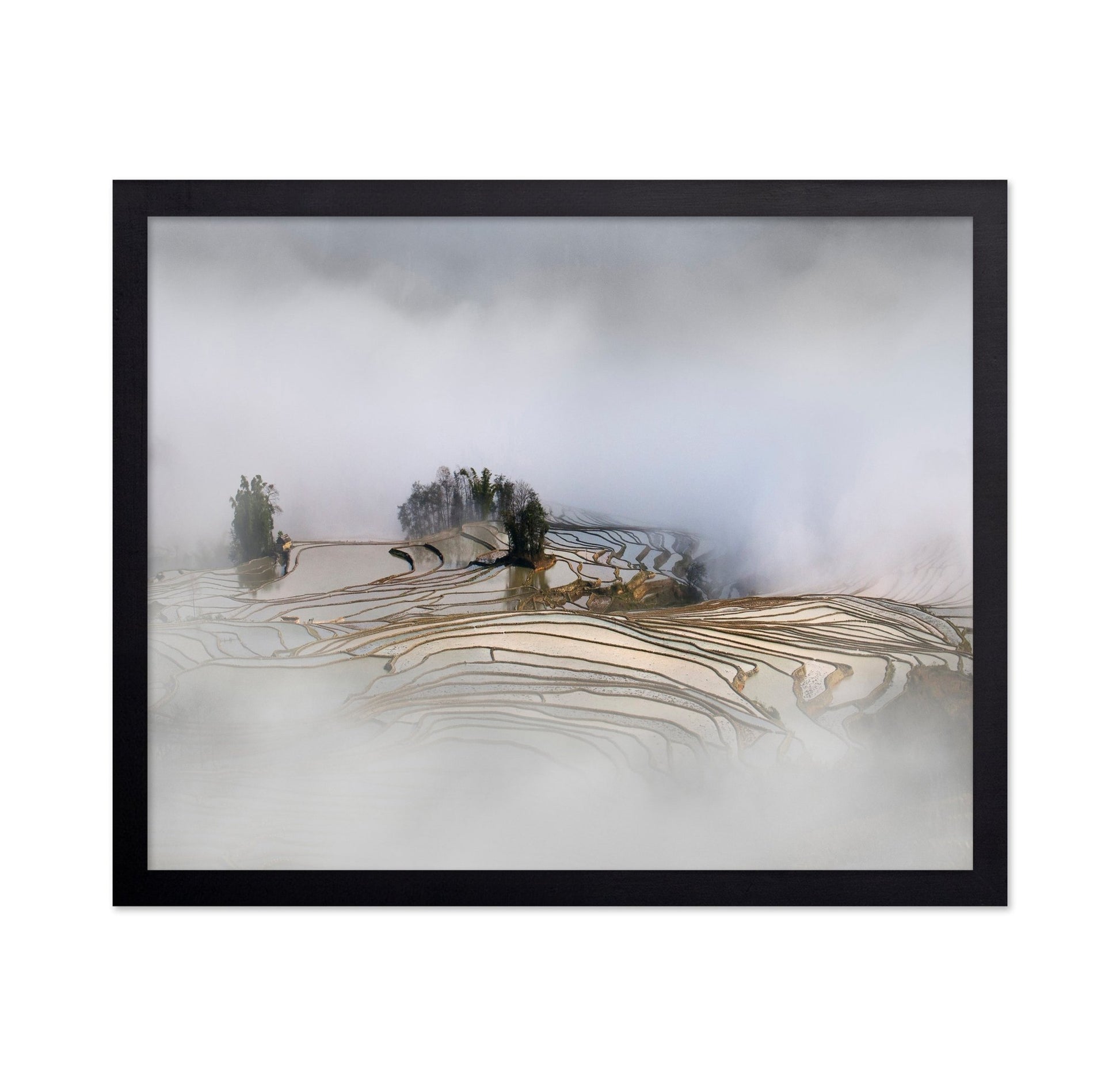 Misty Rice Terraces