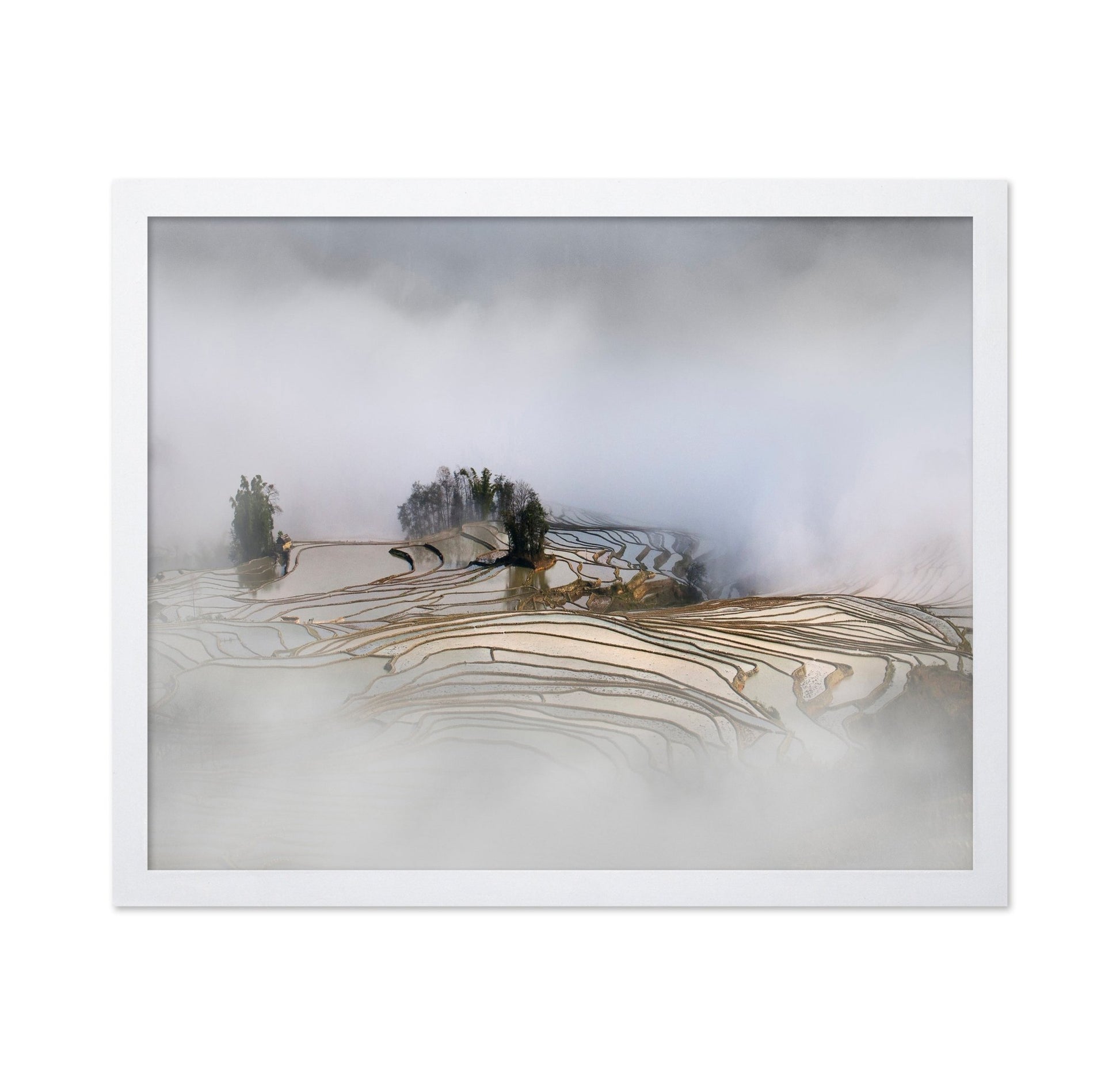 Misty Rice Terraces