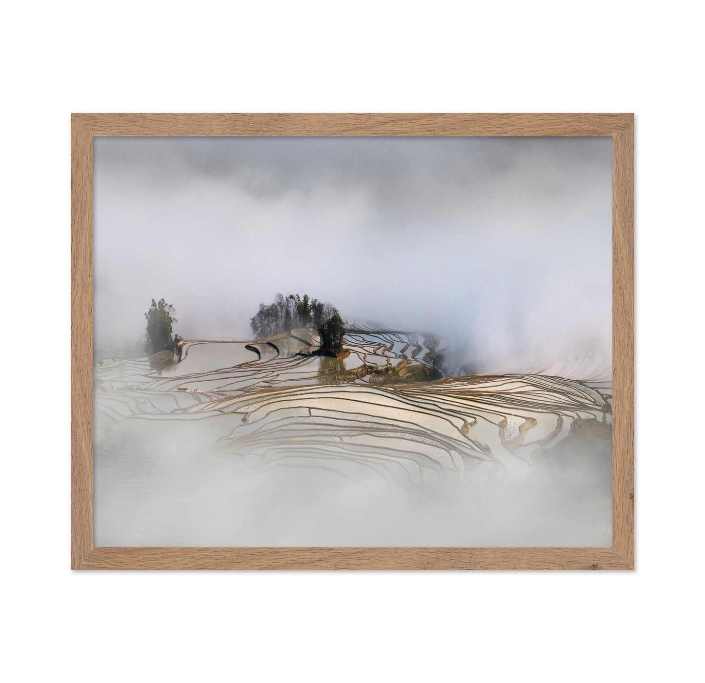 Misty Rice Terraces