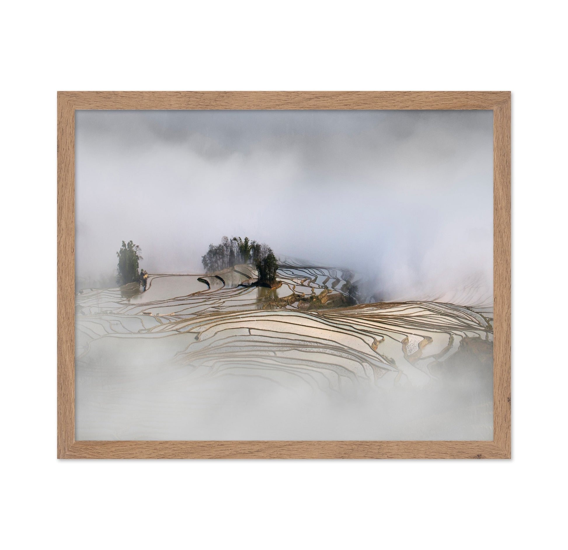 Misty Rice Terraces