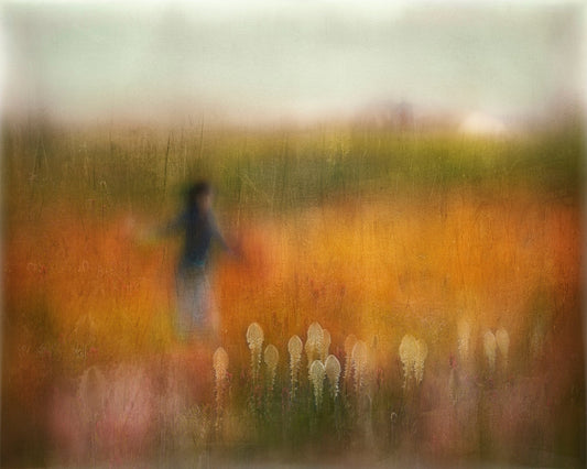 Autumn Field Dream