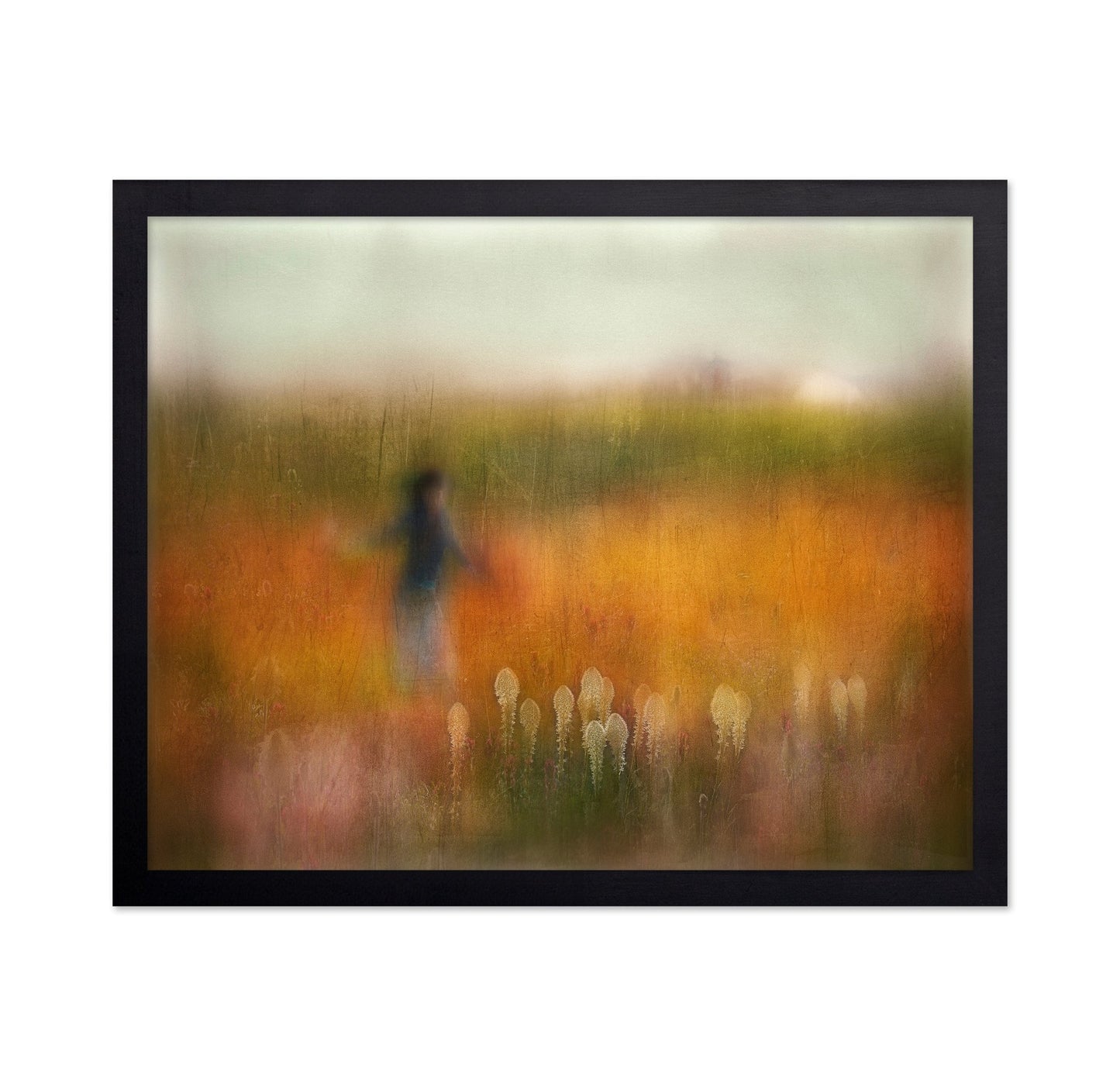 Autumn Field Dream
