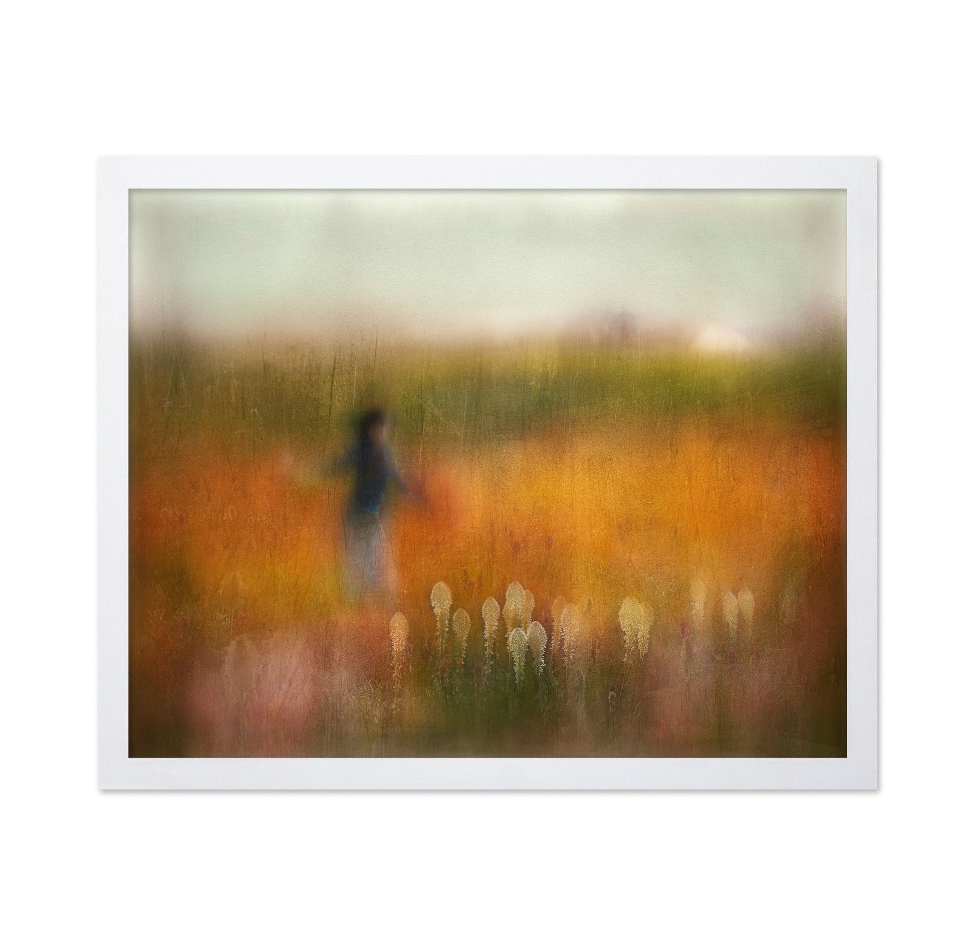 Autumn Field Dream
