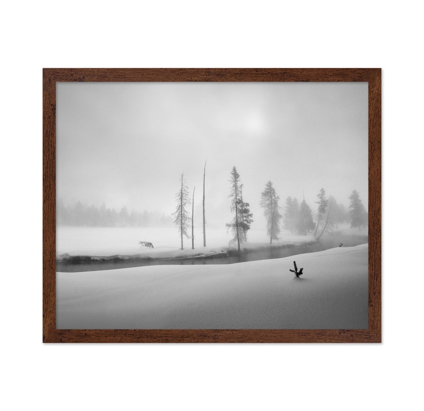 Silent Winter Wolf