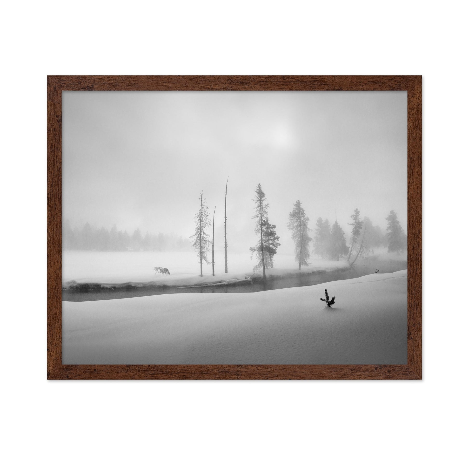 Silent Winter Wolf