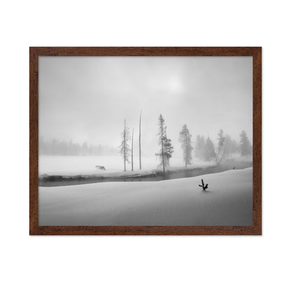 Silent Winter Wolf