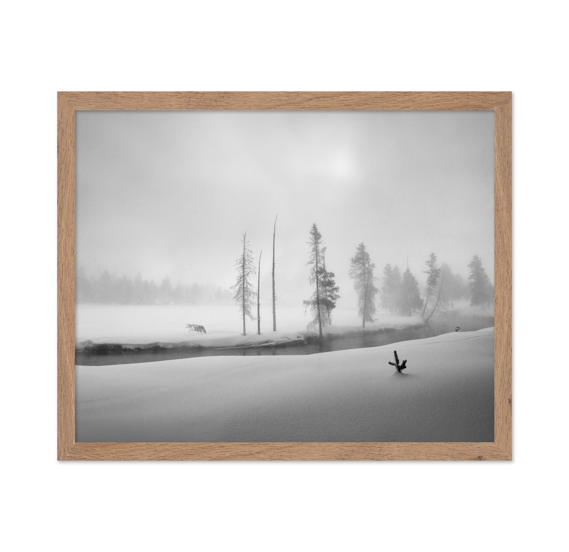 Silent Winter Wolf