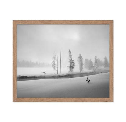 Silent Winter Wolf