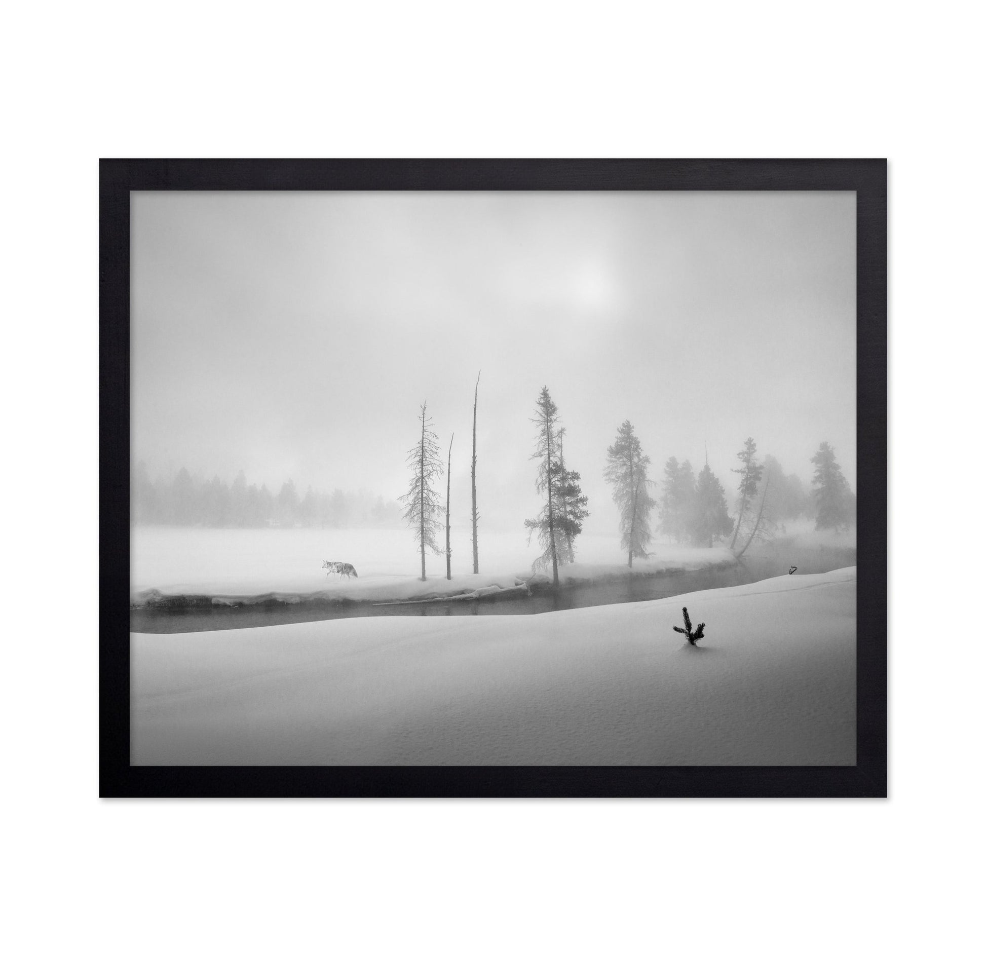 Silent Winter Wolf