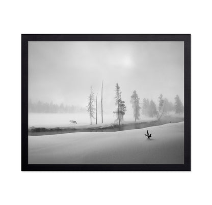Silent Winter Wolf