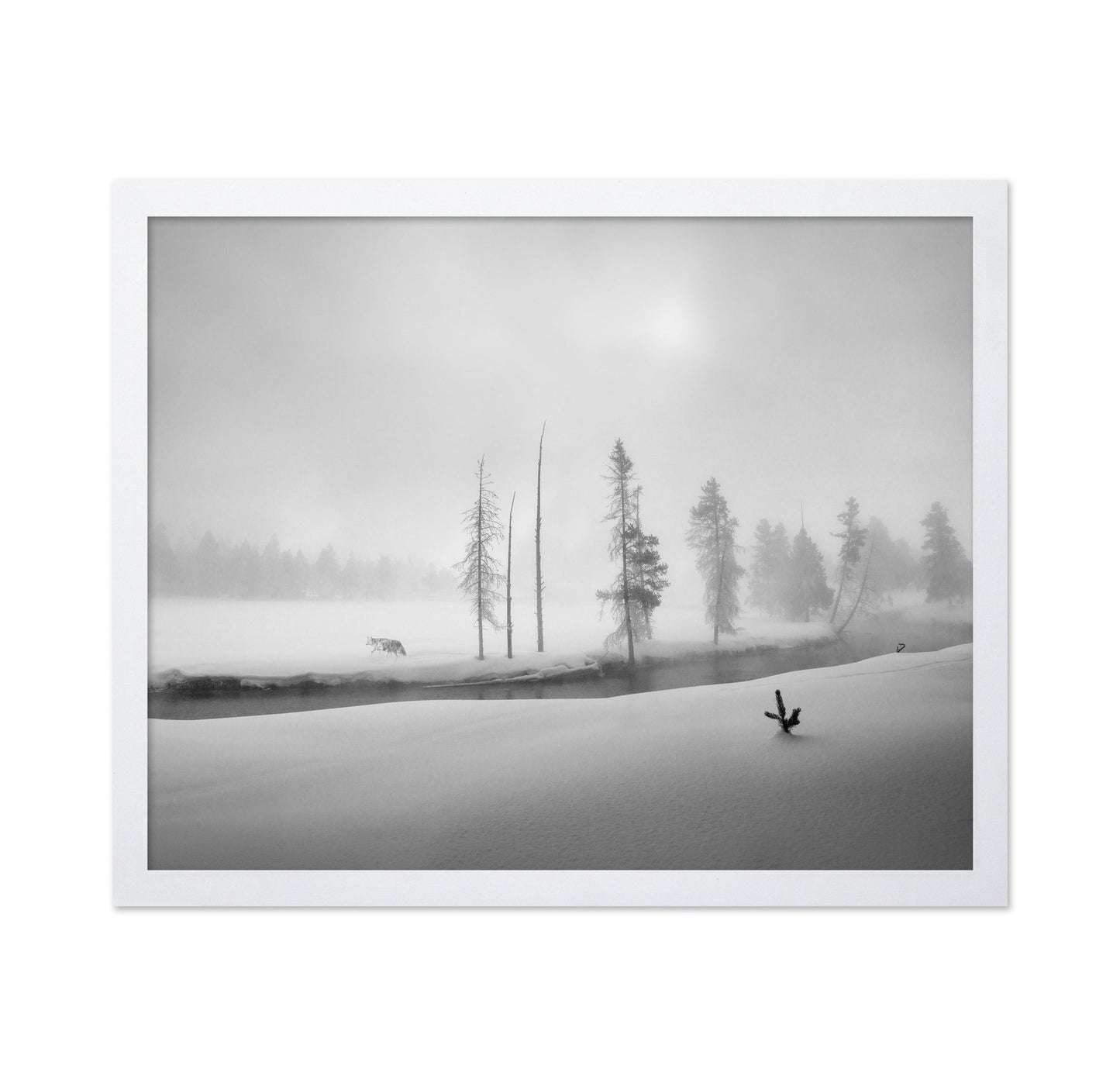 Silent Winter Wolf