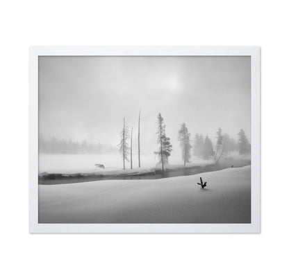Silent Winter Wolf