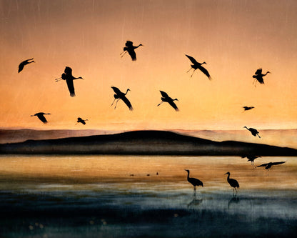 Golden Crane Flight