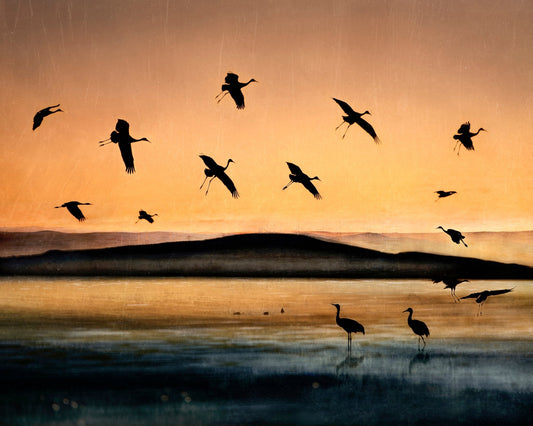 Golden Crane Flight