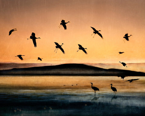 Golden Crane Flight