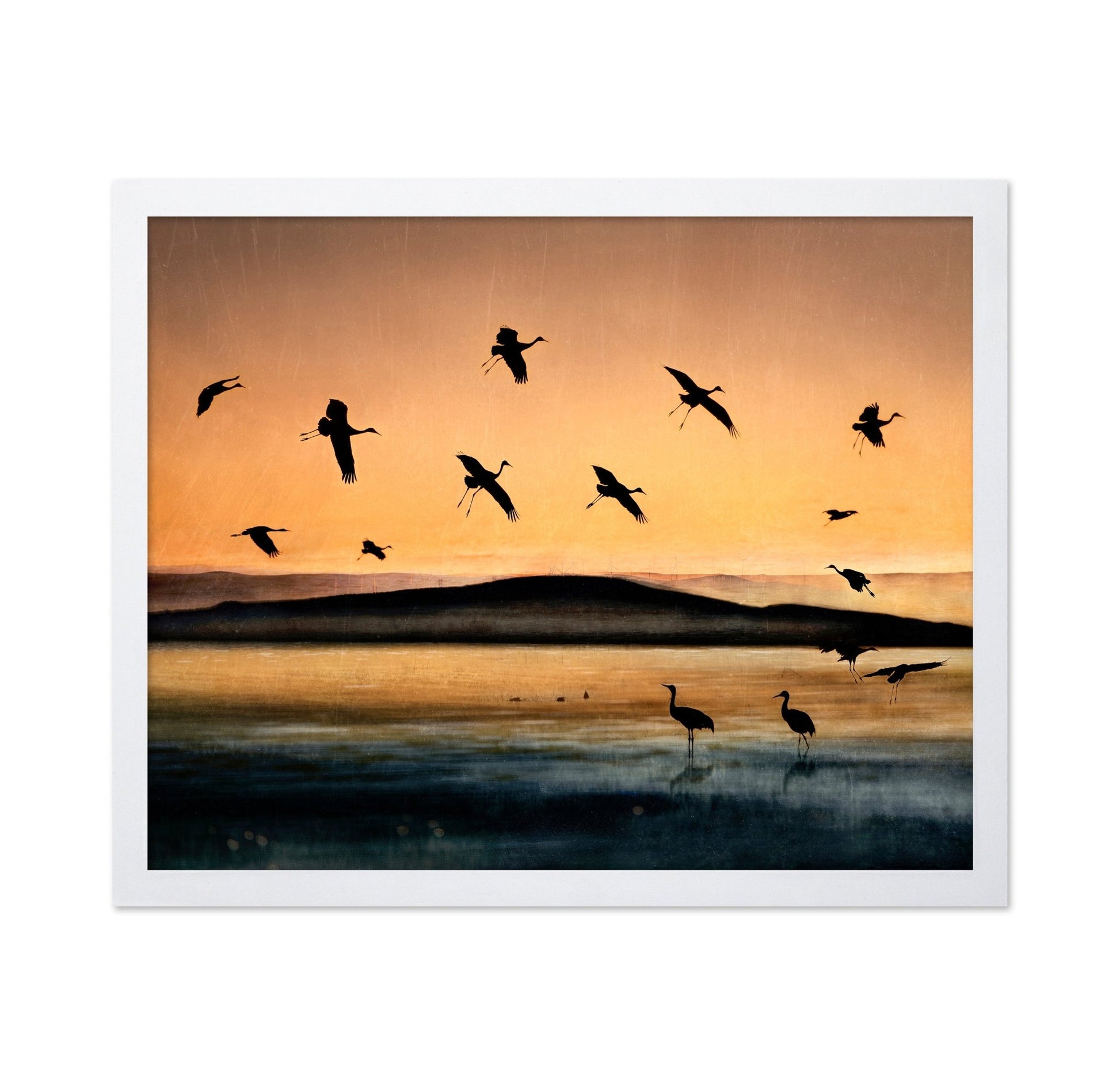Golden Crane Flight