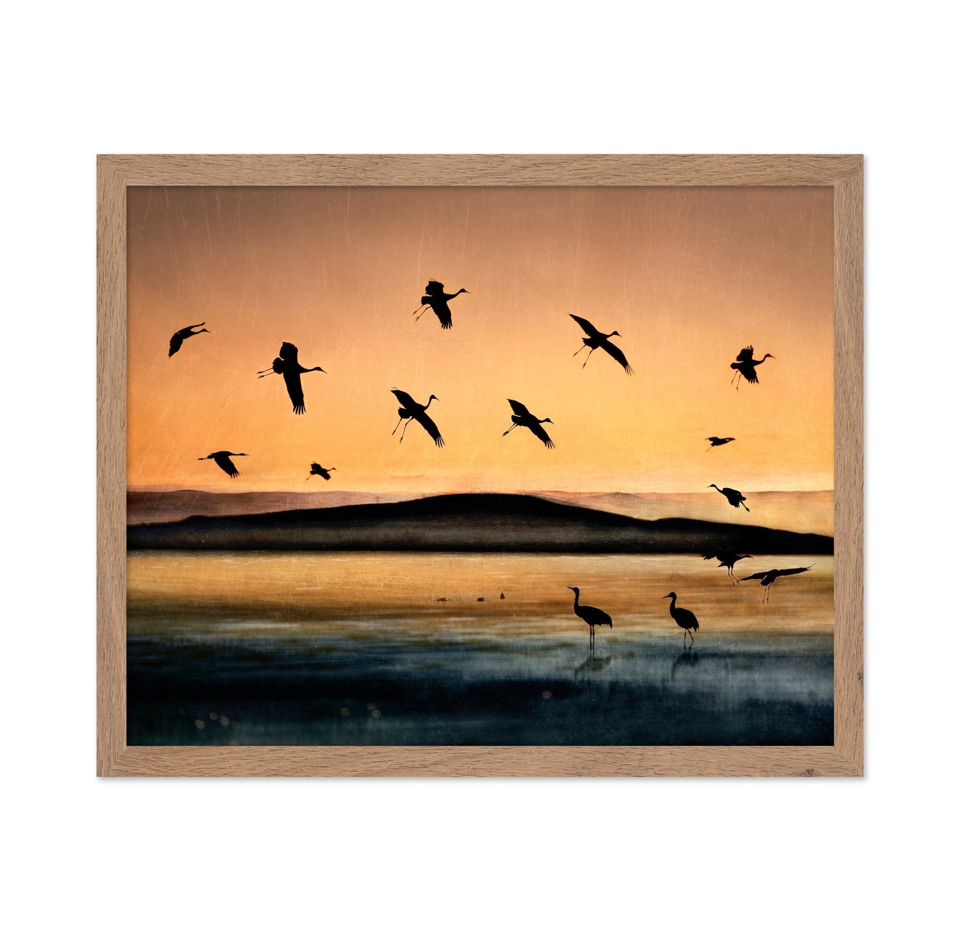 Golden Crane Flight