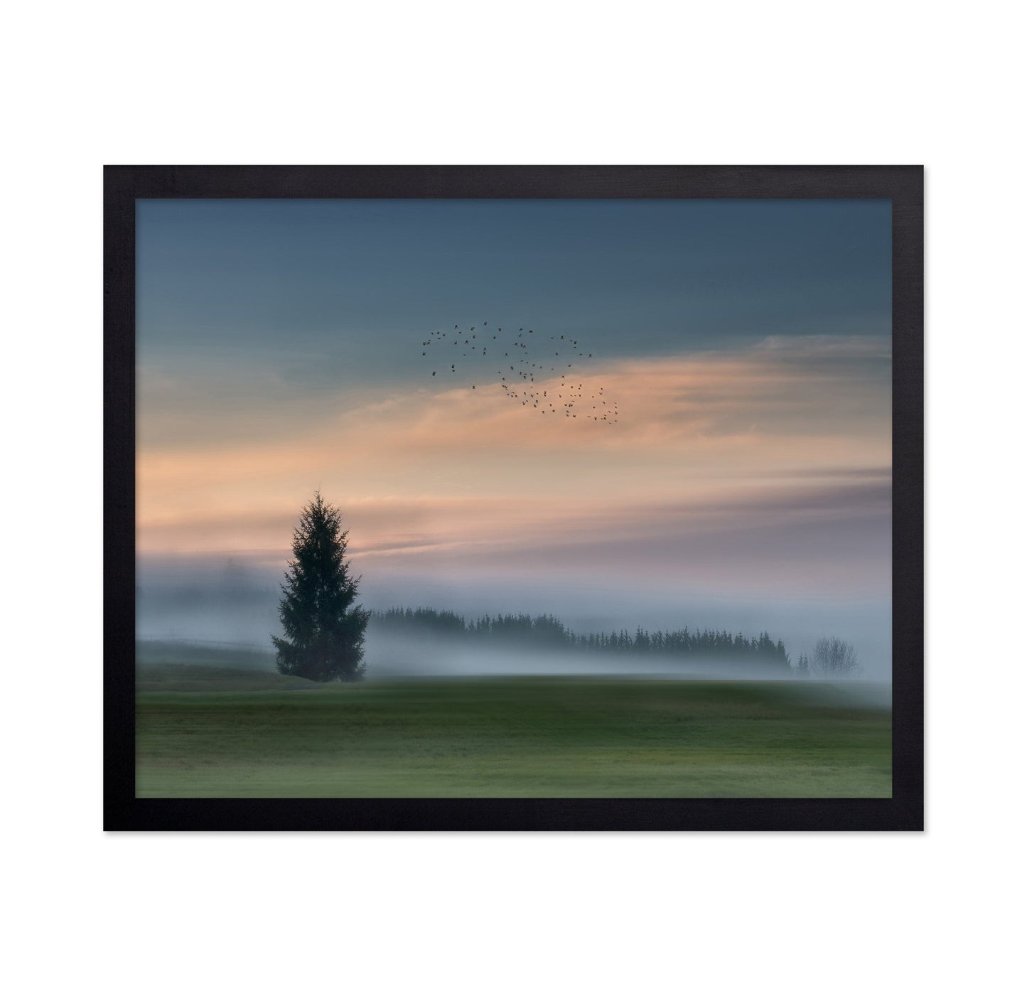 Misty Dawn Flight No2