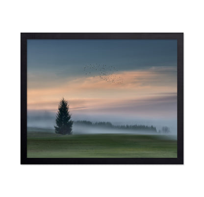 Misty Dawn Flight No2